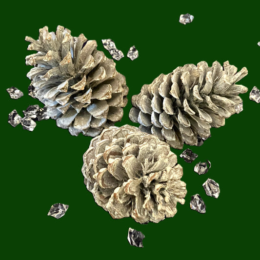 3 Dried and Frosted Natural Pine Cones Average Size 12 - 14 cm