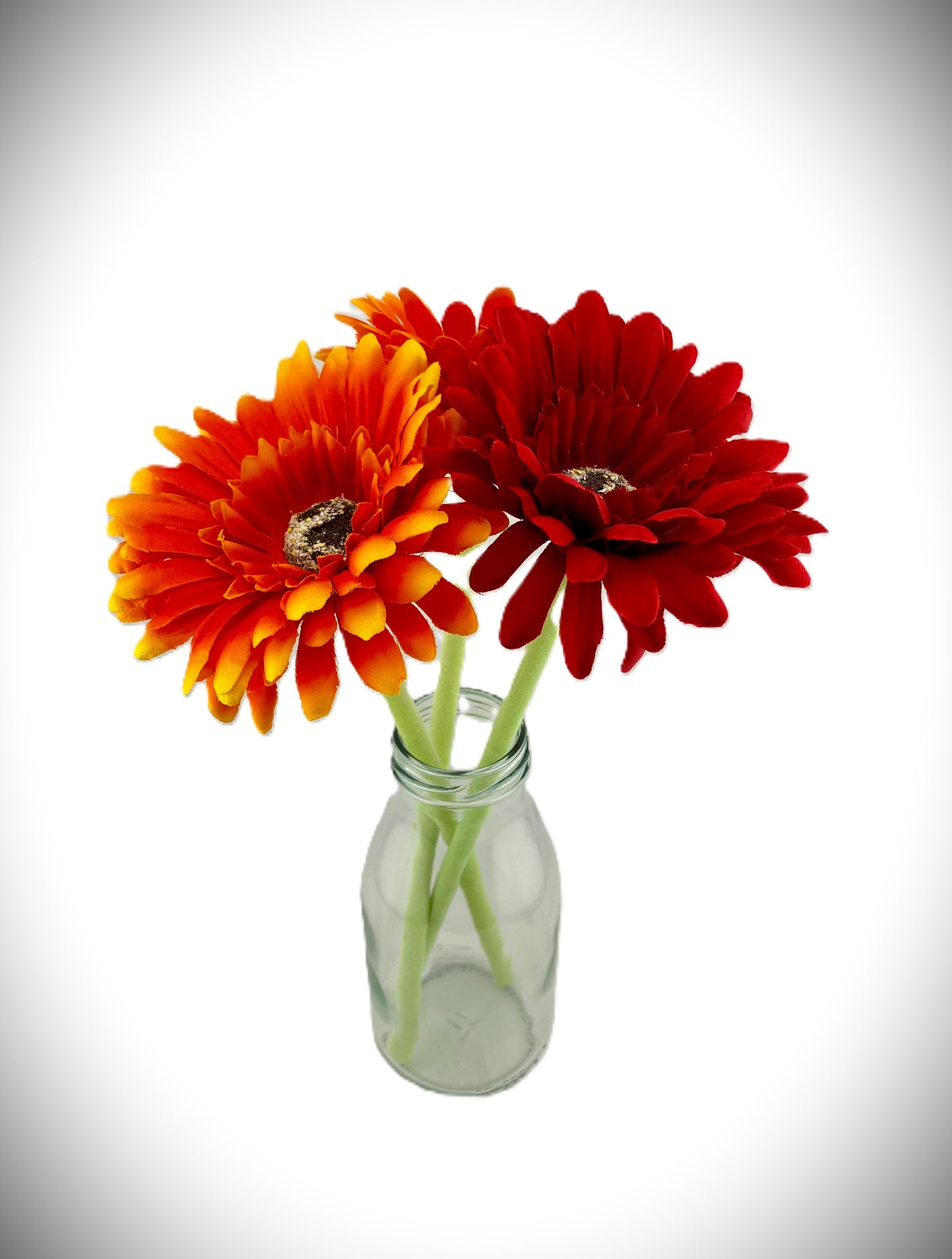 2 Orange Gerbera and 1 Red Gerbera with Vase