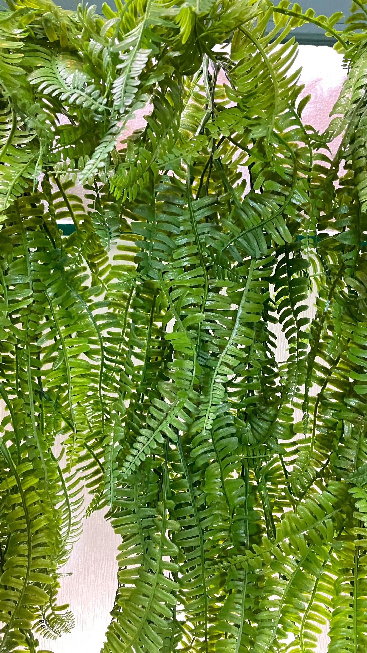 Curtain Wall - Artificial Fern - MULTIBUY - 6 PLANTS