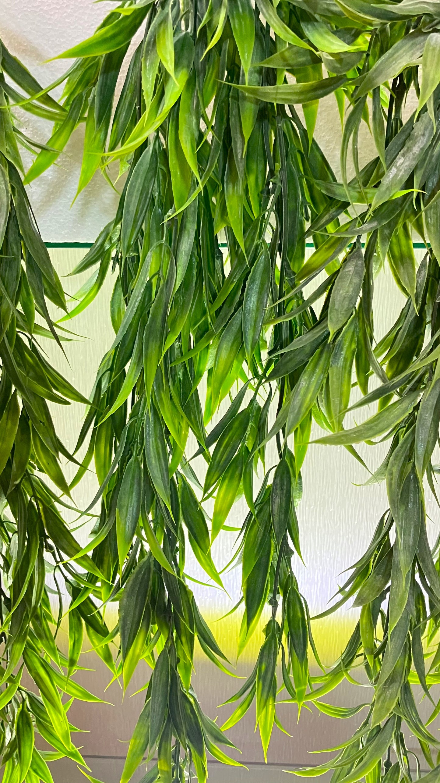 Curtain Wall - Artificial Bamboo Plant - 6 Plants - MULTIBUY