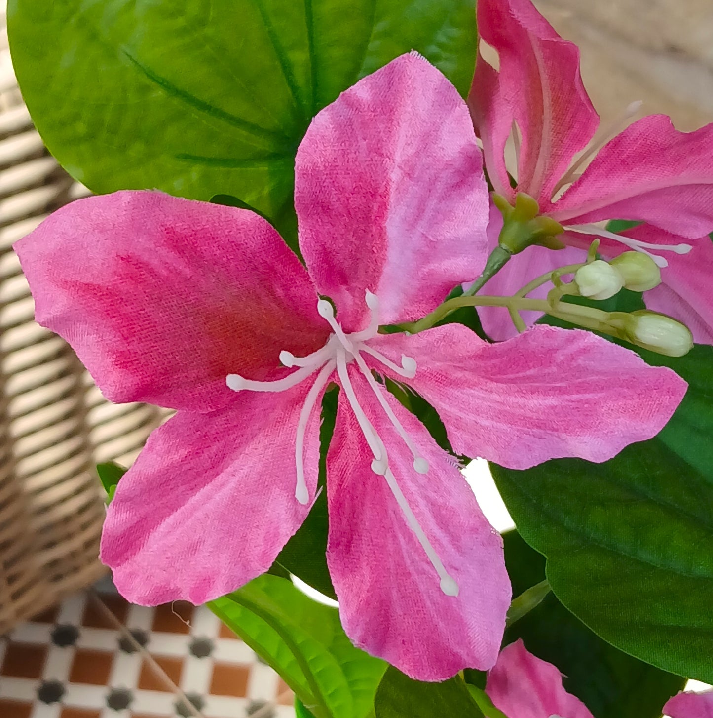 Artificial Bauhinia Tree - 120cm