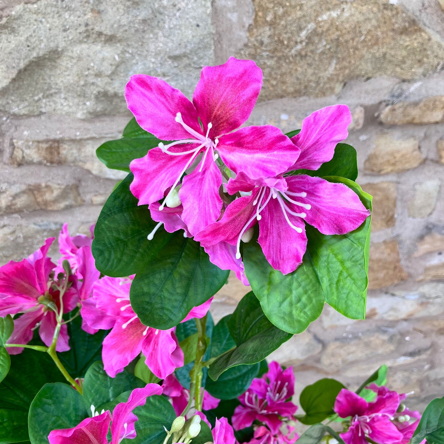 Artificial Bauhinia Tree - 120cm