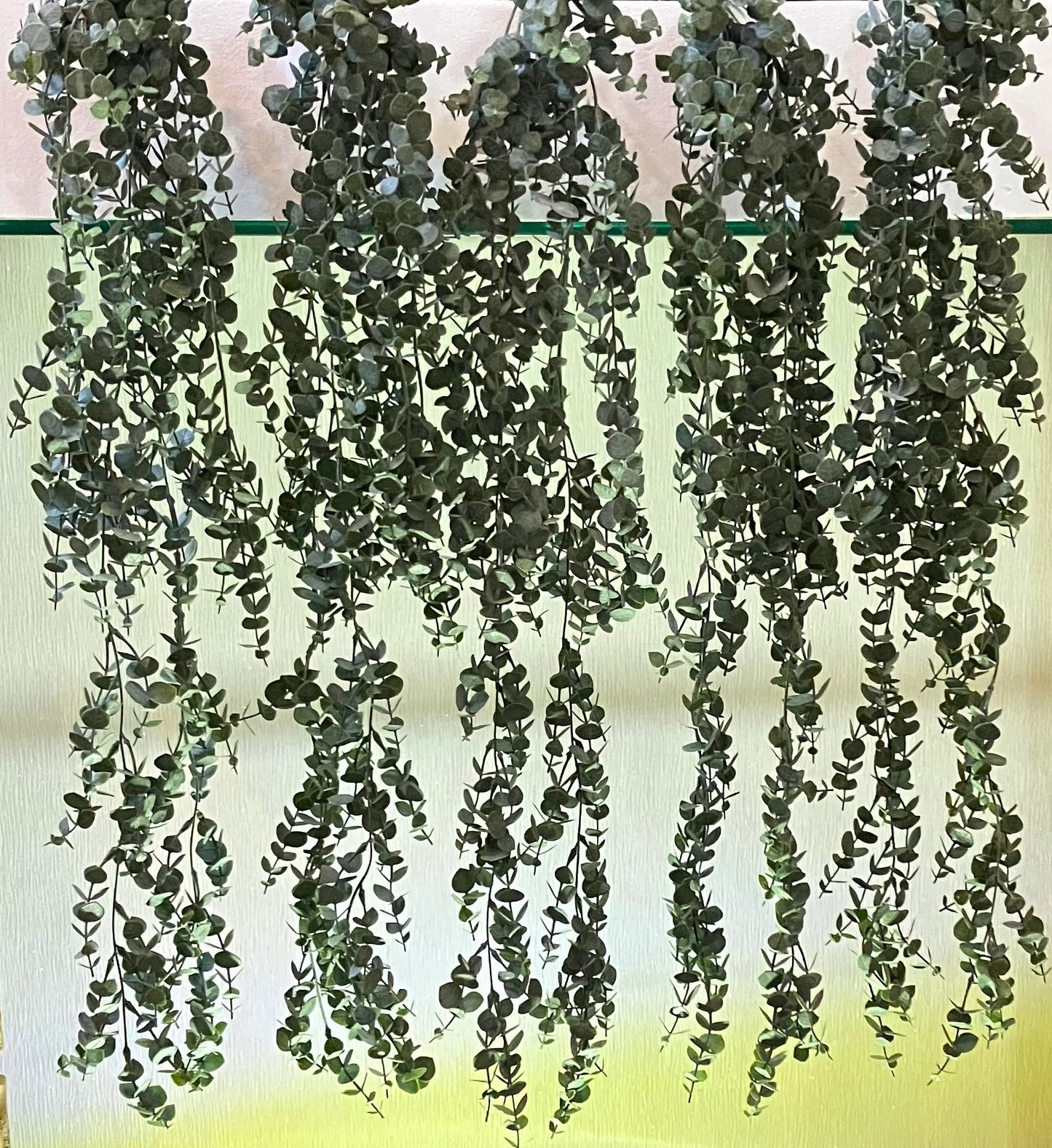 Curtain Wall - Artificial Trailing Gunni Eucalyptus - MULTIBUY - 6 PLANTS