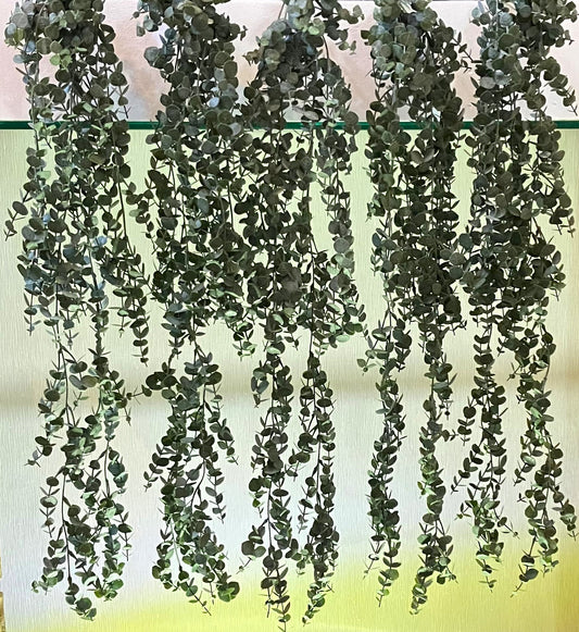 Curtain Wall - Artificial Trailing Gunni Eucalyptus - MULTIBUY - 6 PLANTS