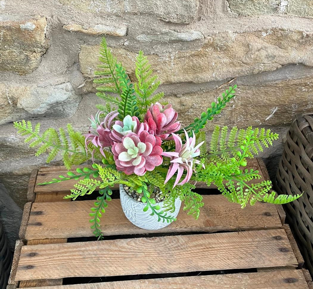 Artificial Fern & Succulent Pink and Green in Fern Pot