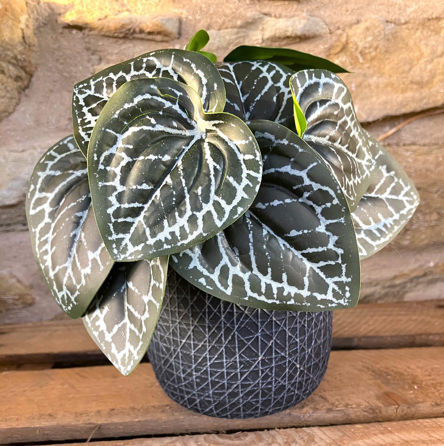 Artificial Printed Nerve Plant Bush (Large) 18cm