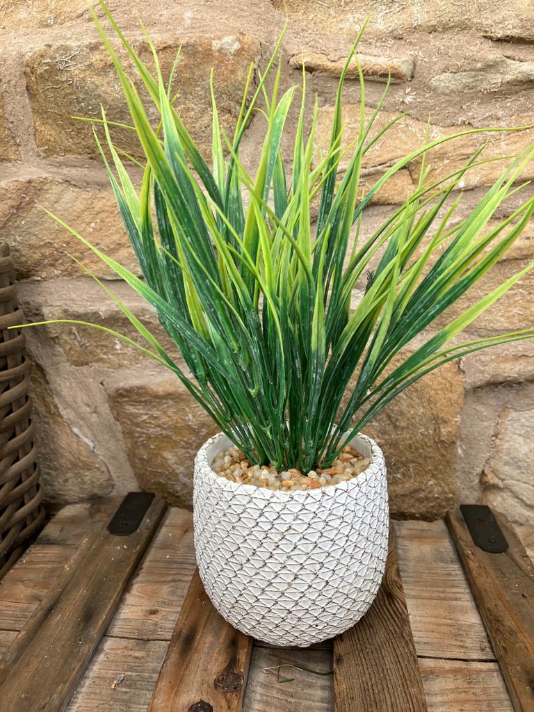 Our Real Artificial grass spray in a pot is a product designed to replicate the appearance and texture of natural grass. 