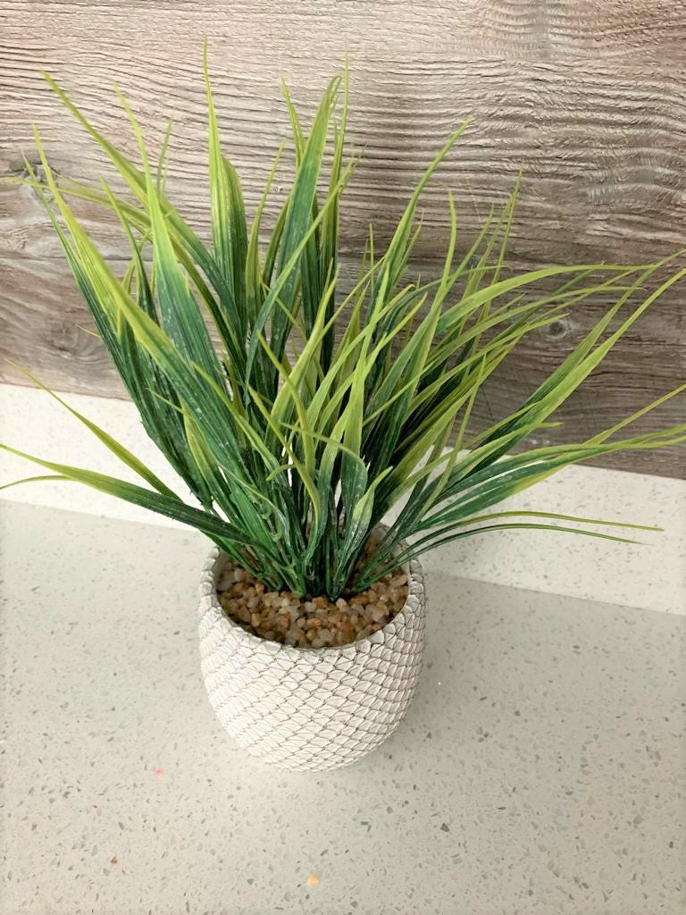 Our Real Artificial grass spray in a pot is a product designed to replicate the appearance and texture of natural grass. 