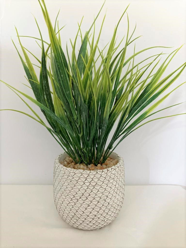 Our Real Artificial grass spray in a pot is a product designed to replicate the appearance and texture of natural grass. 