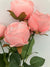 Artificial Silk Ariella Rose Bunch in Pink