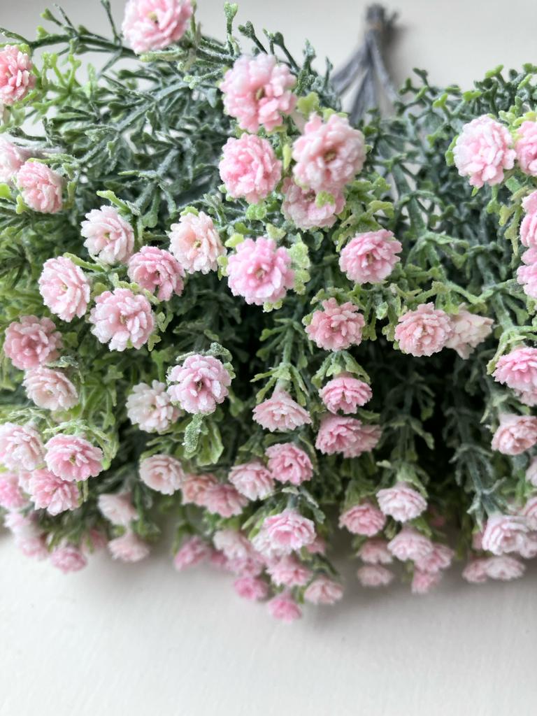 Wild  Gypsophila - Pink (With or Without Vase)