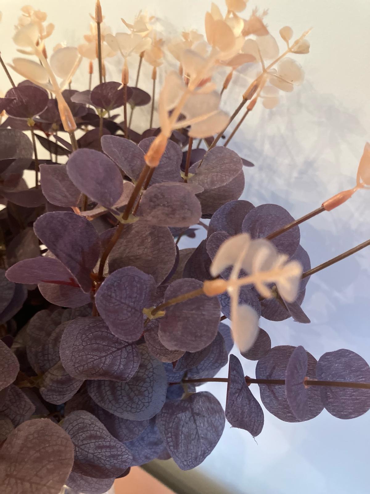 Burgundy Eucalyptus Bunch
