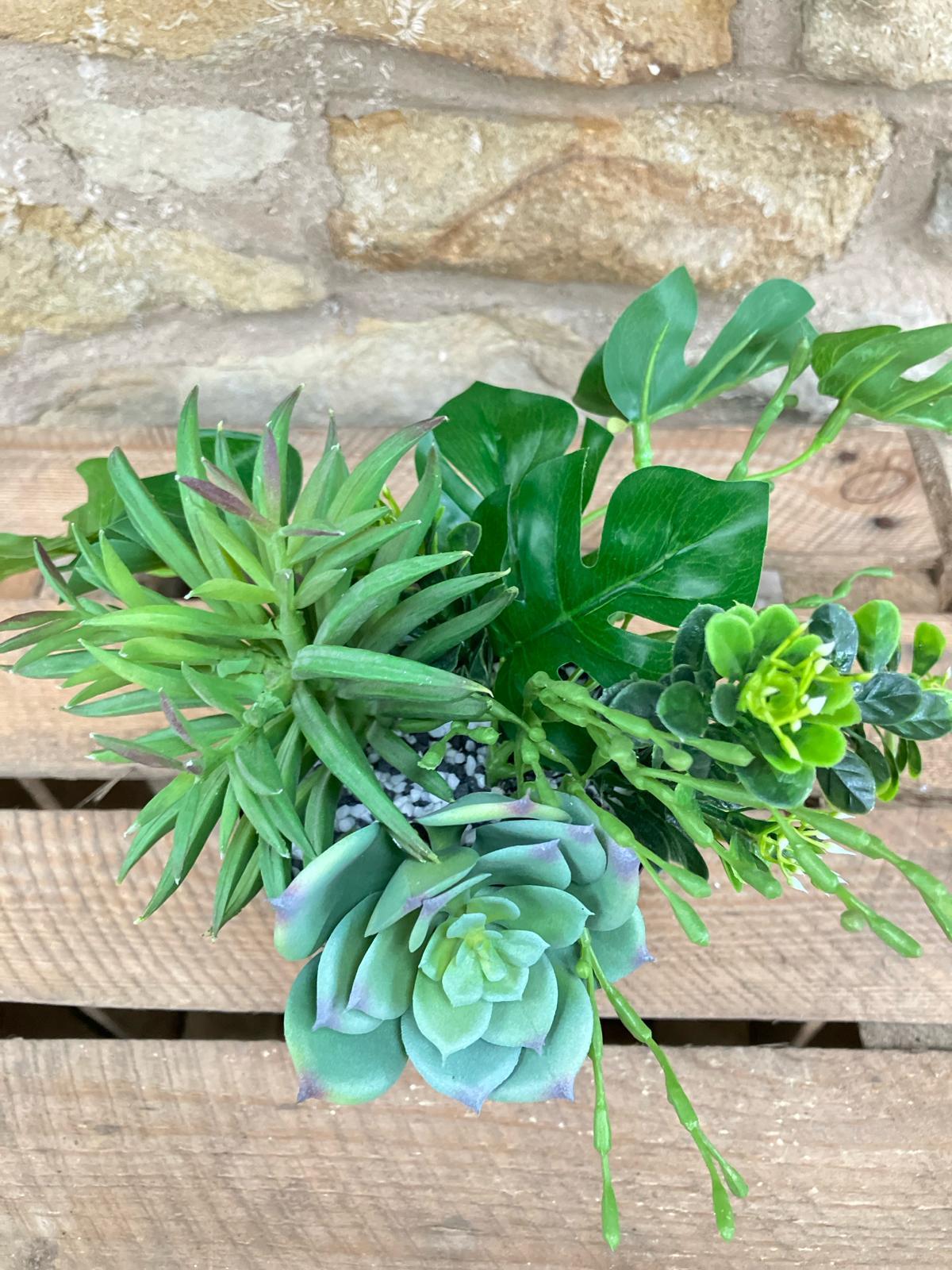 Trio Of Succulents in Black Ribbed Pot
