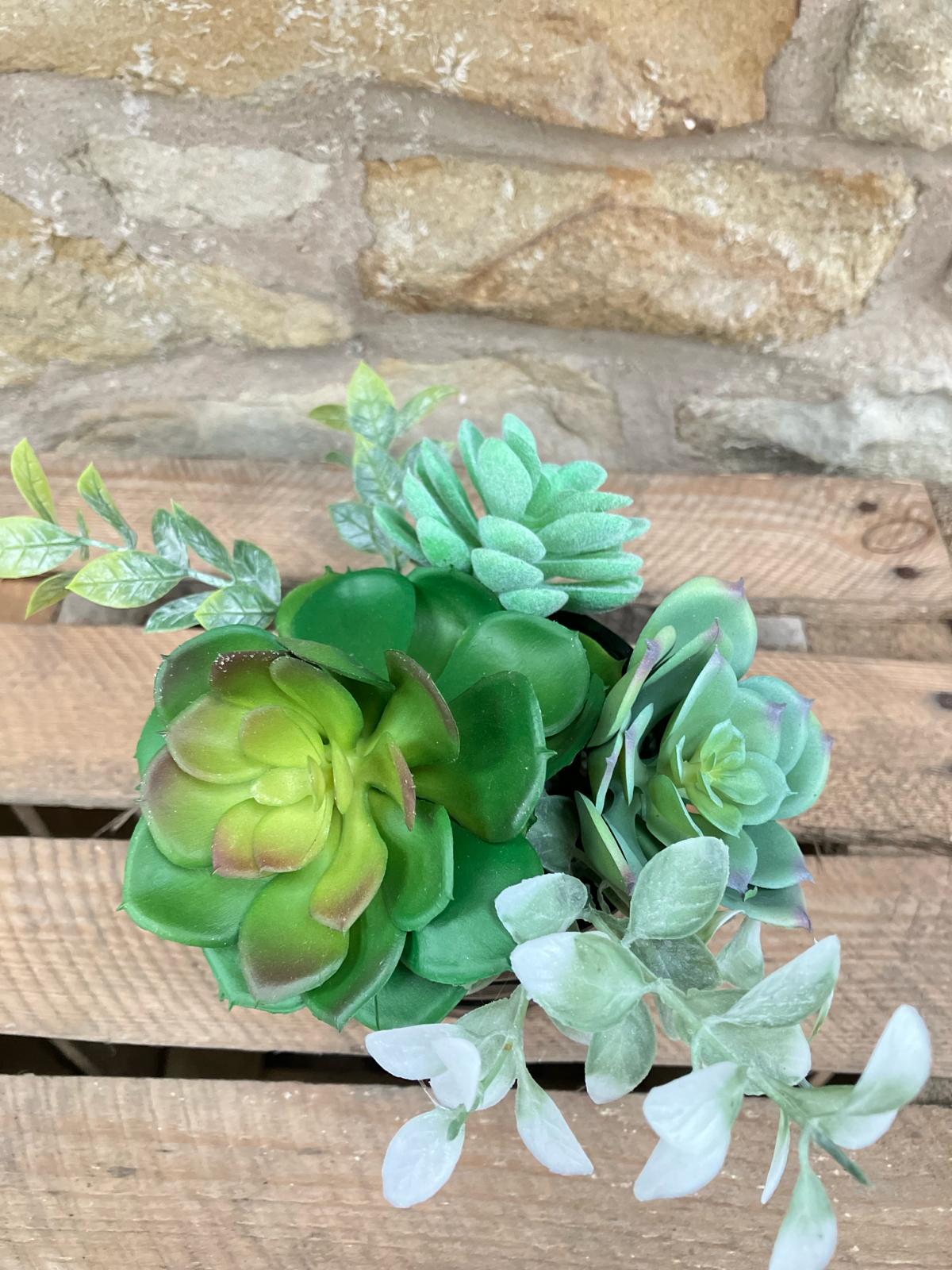 Trio Of Succulents in Black Ribbed Pot