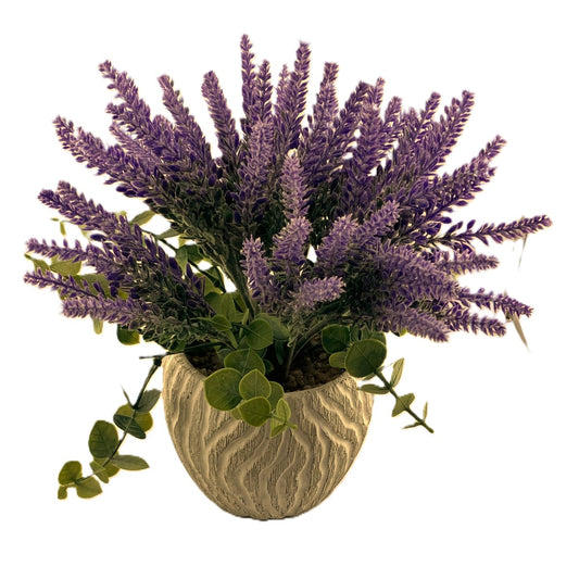 Lavender & Eucalyptus in White Oakland Pot