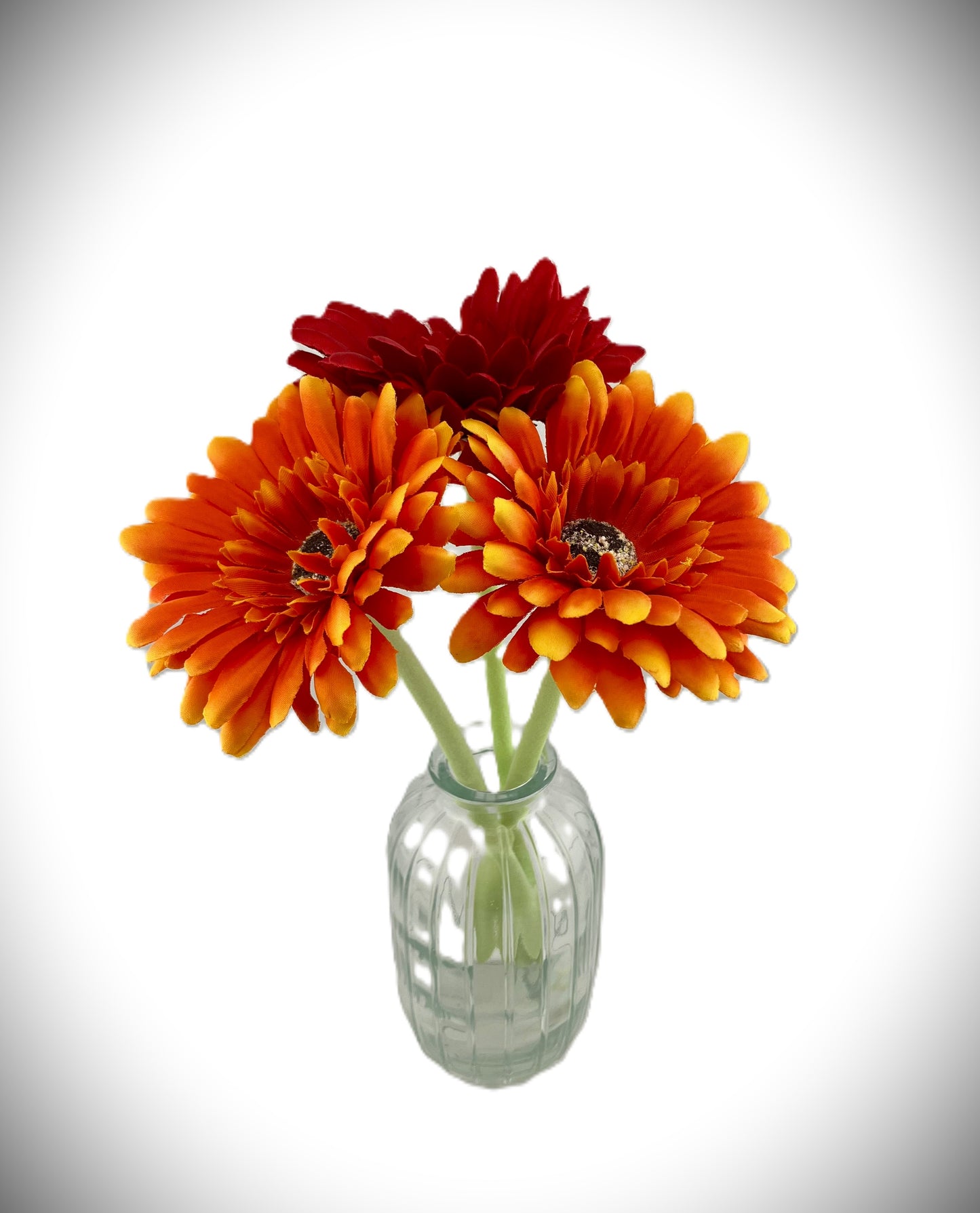 2 Orange Gerbera and 1 Red Gerbera with Vase