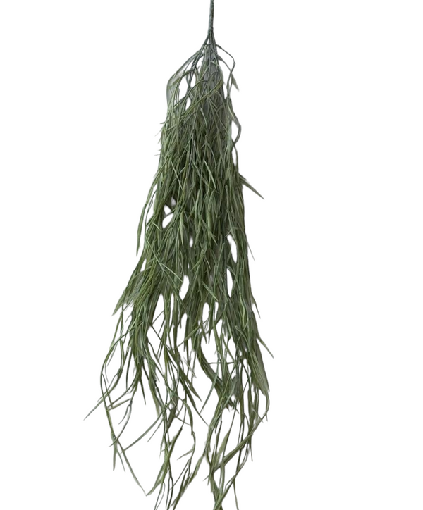 Our Hoya plant is a type of Artificial tropical vine that has attractive foliage. 