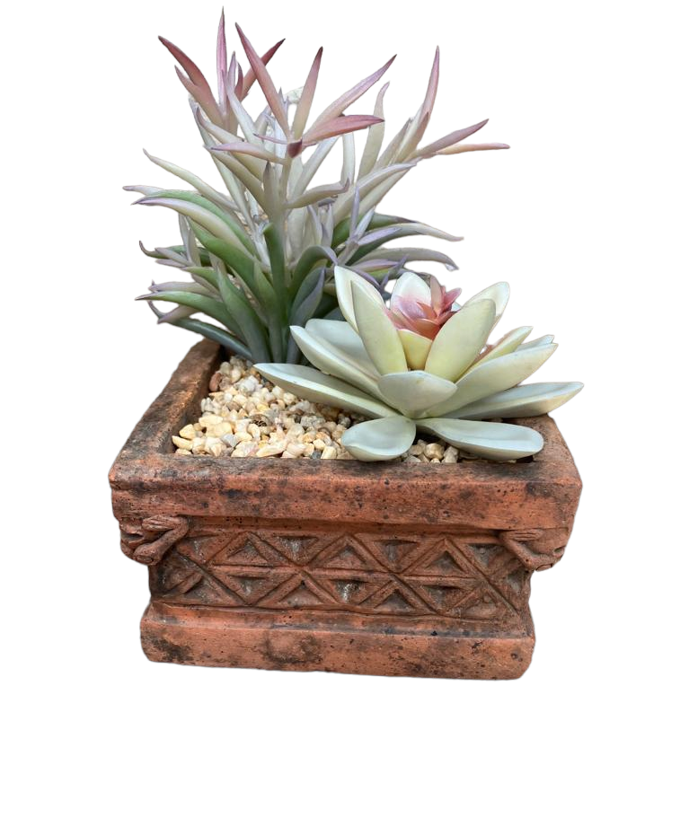 Indonesian Vintage Terracotta Succulent Pot 