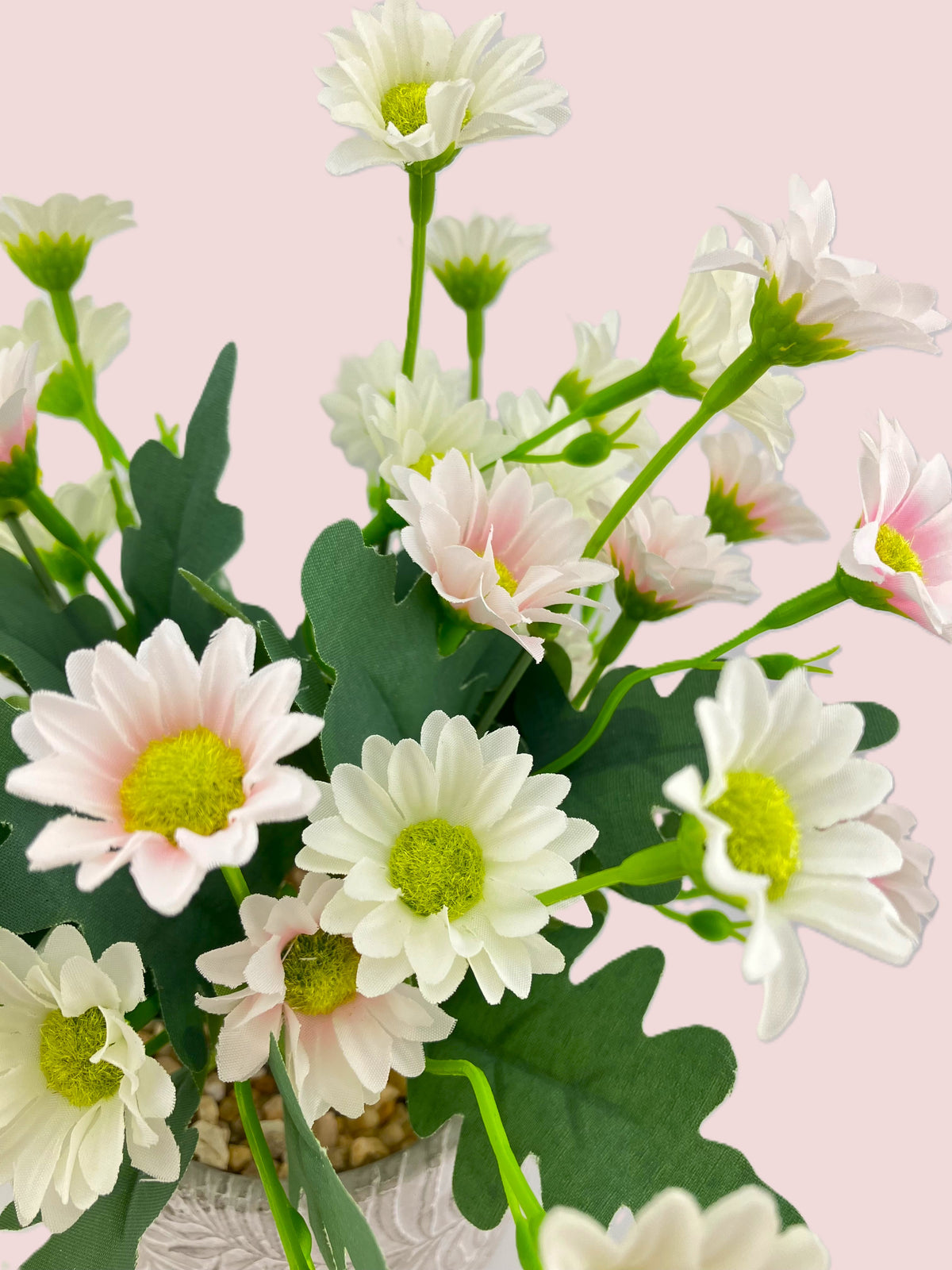 Various Coloured Silk Mia Daisy Bunch in Fern Pot