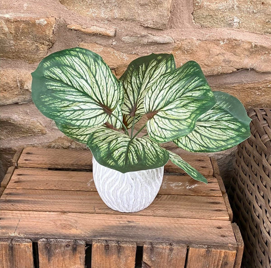 Brunnera Leaf Bunch In Green
