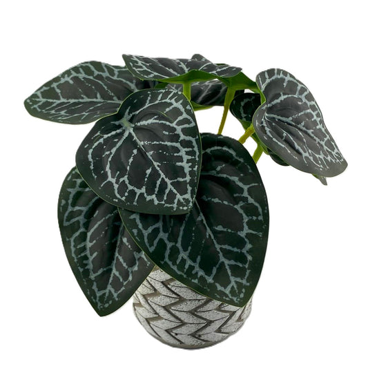 Artificial Printed Nerve Plant Bush 18cm