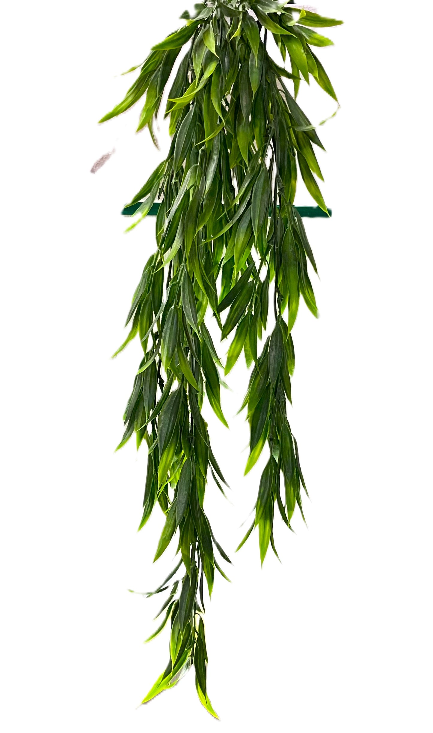 Curtain Wall - Artificial Bamboo Plant - 6 Plants - MULTIBUY