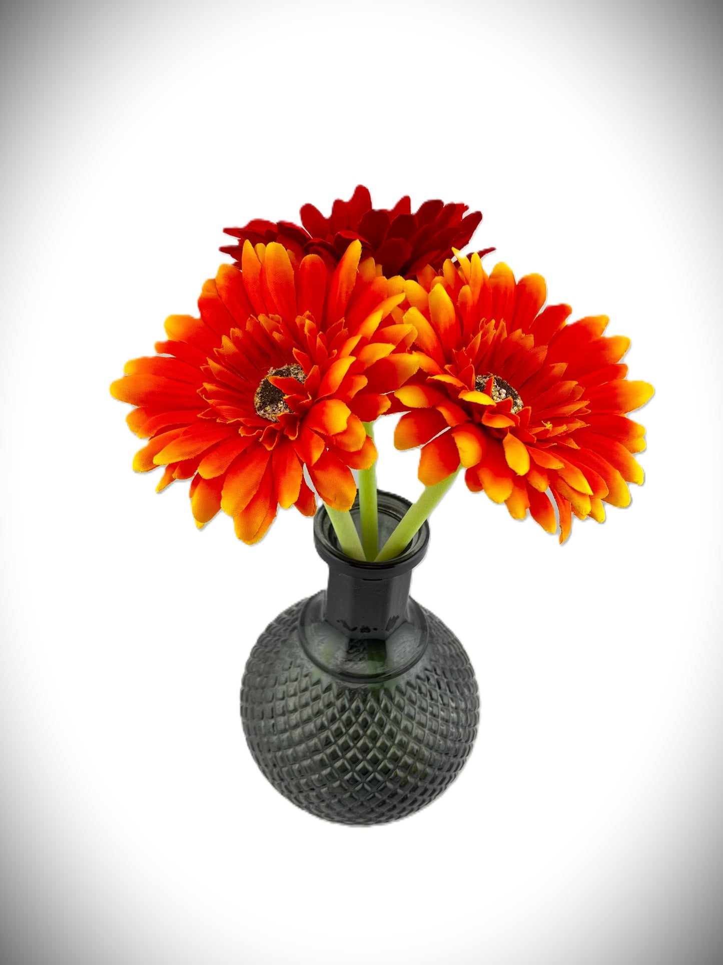2 Orange Gerbera and 1 Red Gerbera with Vase