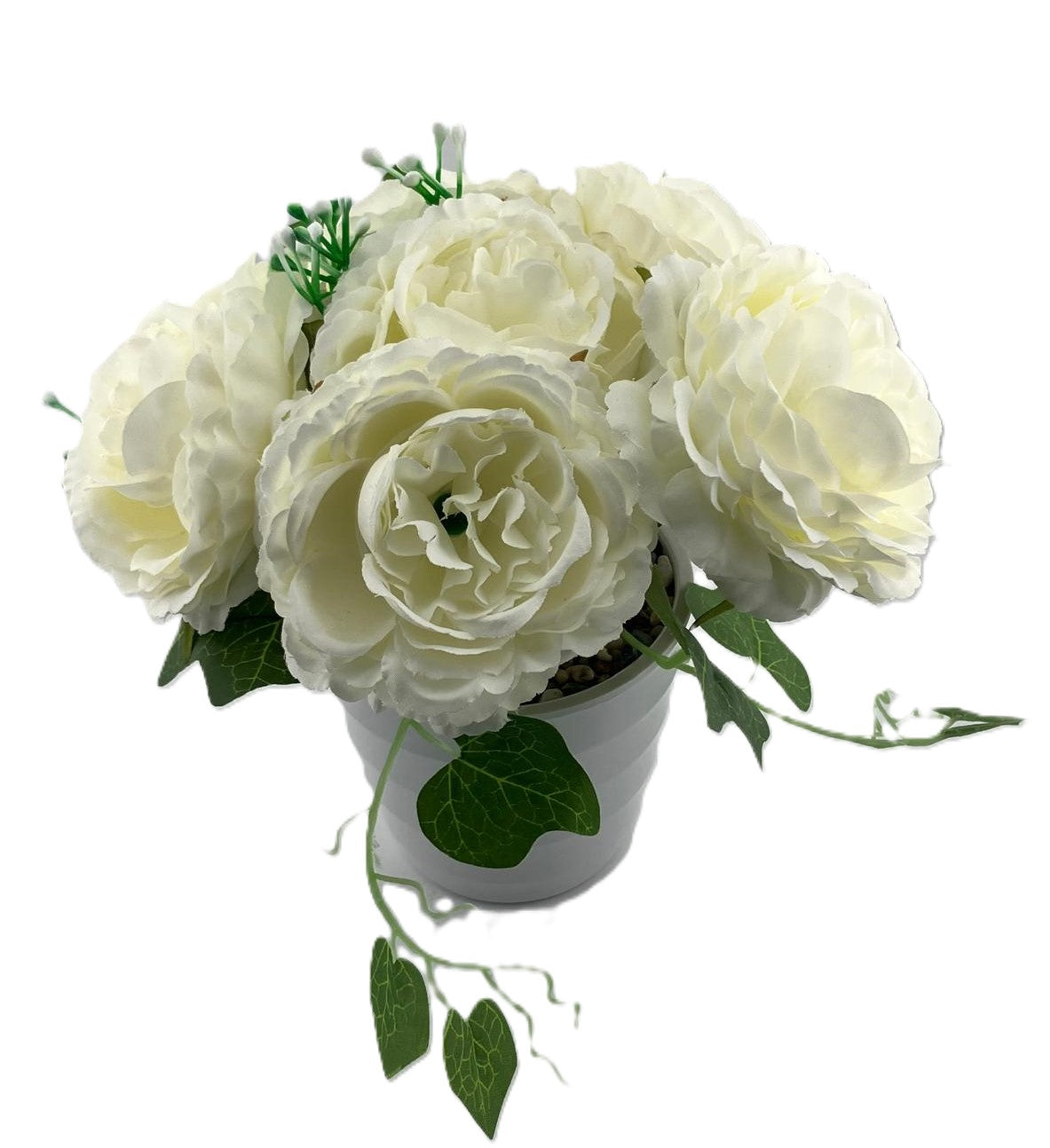 White Carnation Bunch with Gypsohilia and pot options