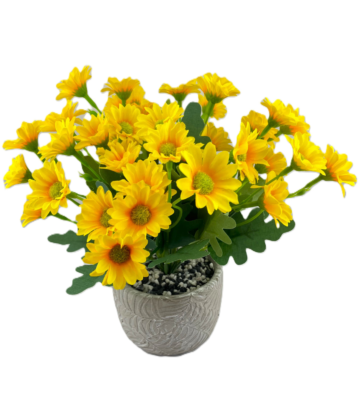 Various Coloured Silk Mia Daisy Bunch in Fern Pot
