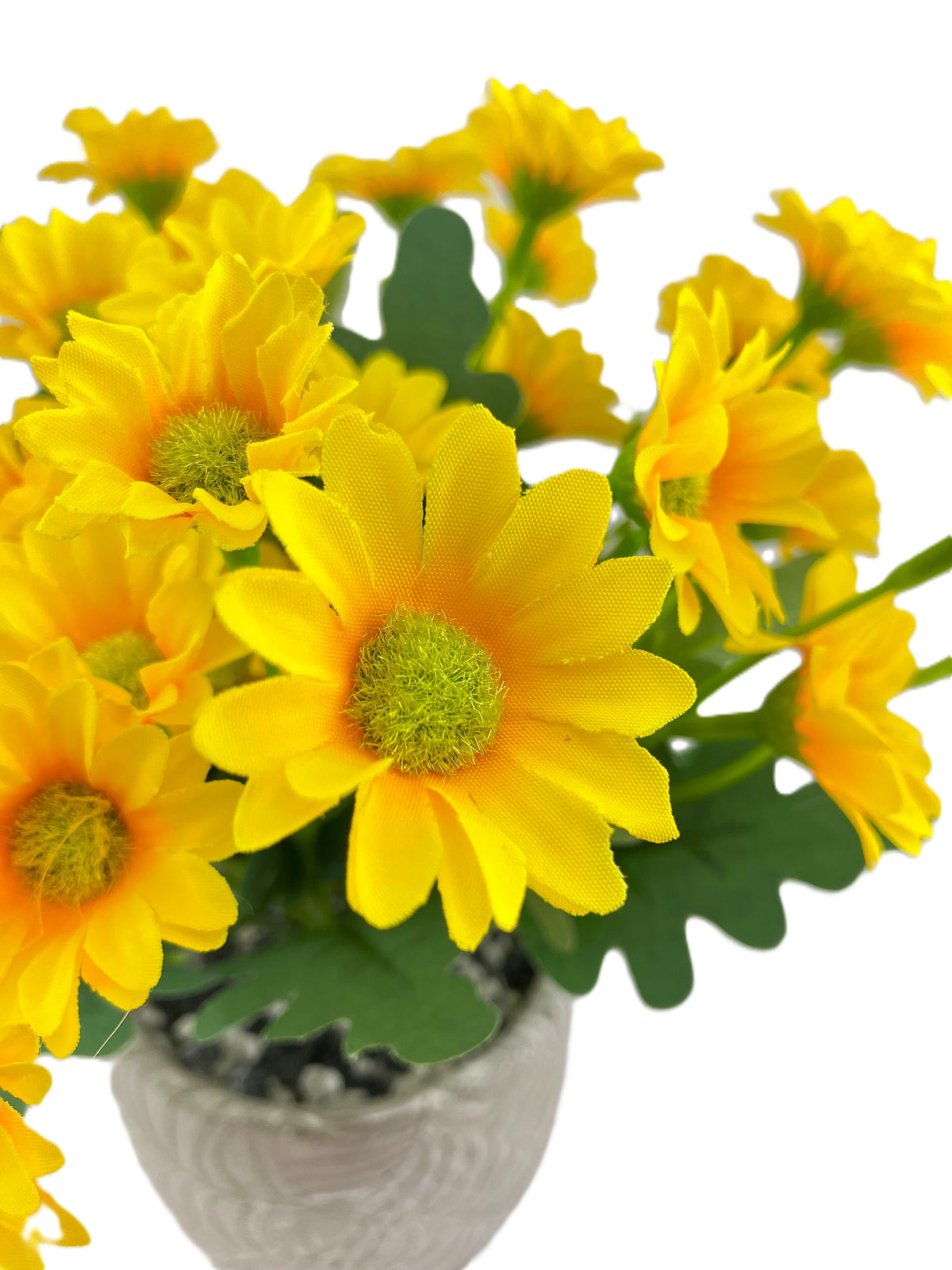 Various Coloured Silk Mia Daisy Bunch in Fern Pot