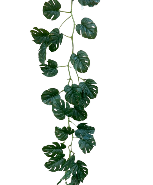 Monstera Vine 122cm