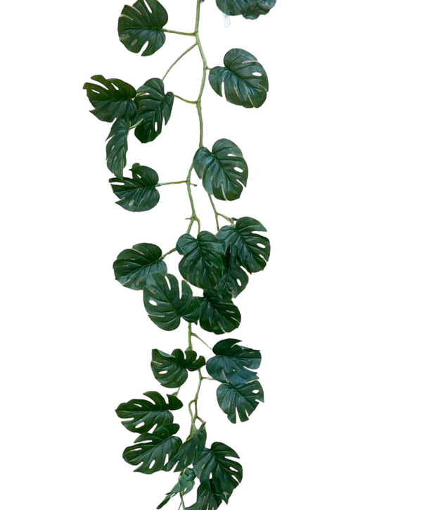 Monstera Vine 122cm