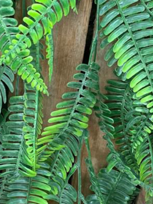 Artificial Hanging Fern