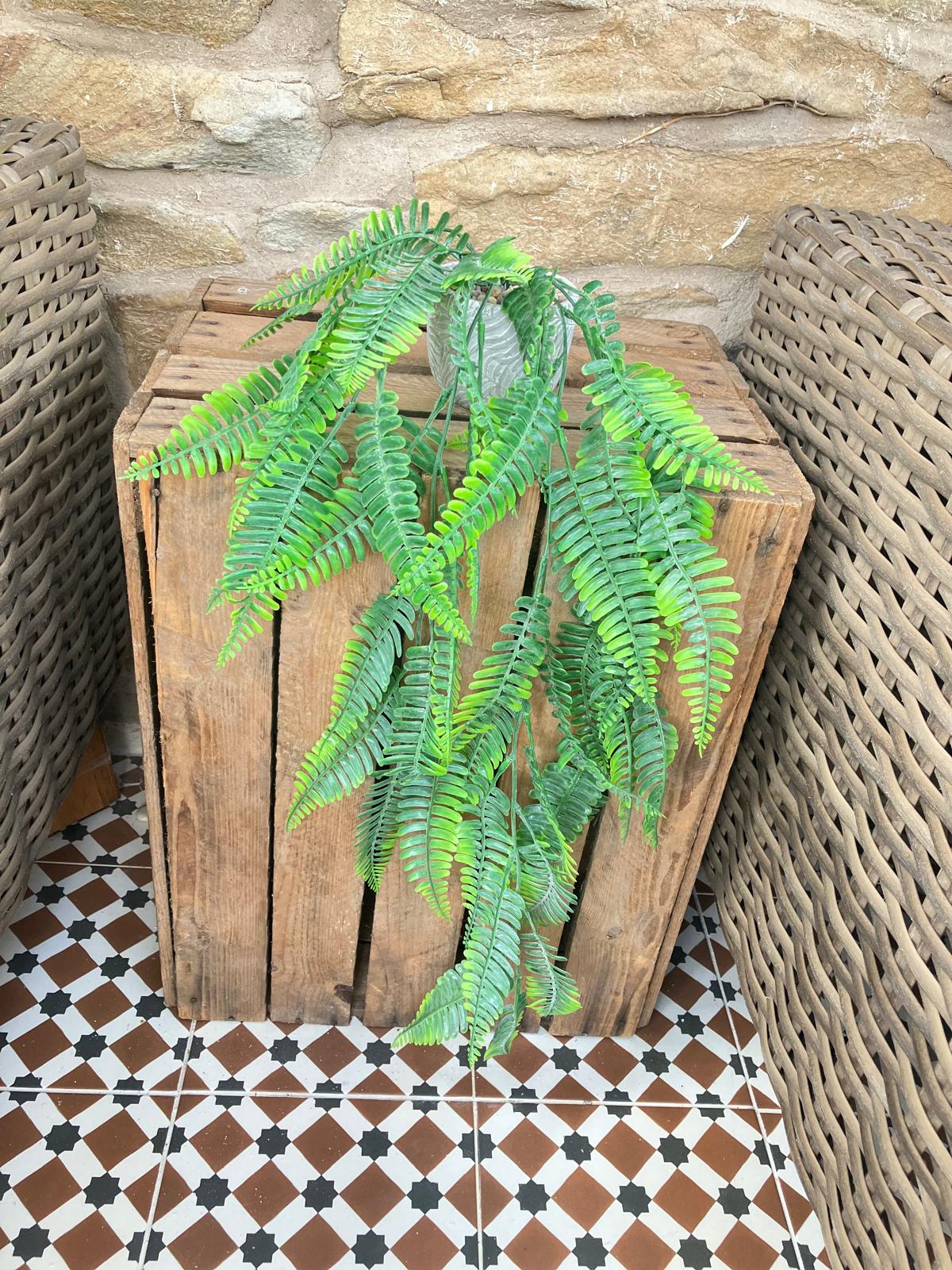 Artificial Hanging Fern