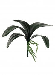 Artificial Large Phalaenopsis Orchid Leaf, 25cm