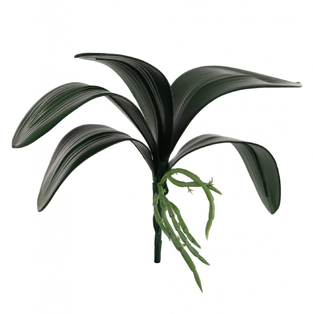 Artificial Large Phalaenopsis Orchid Leaf, 25cm