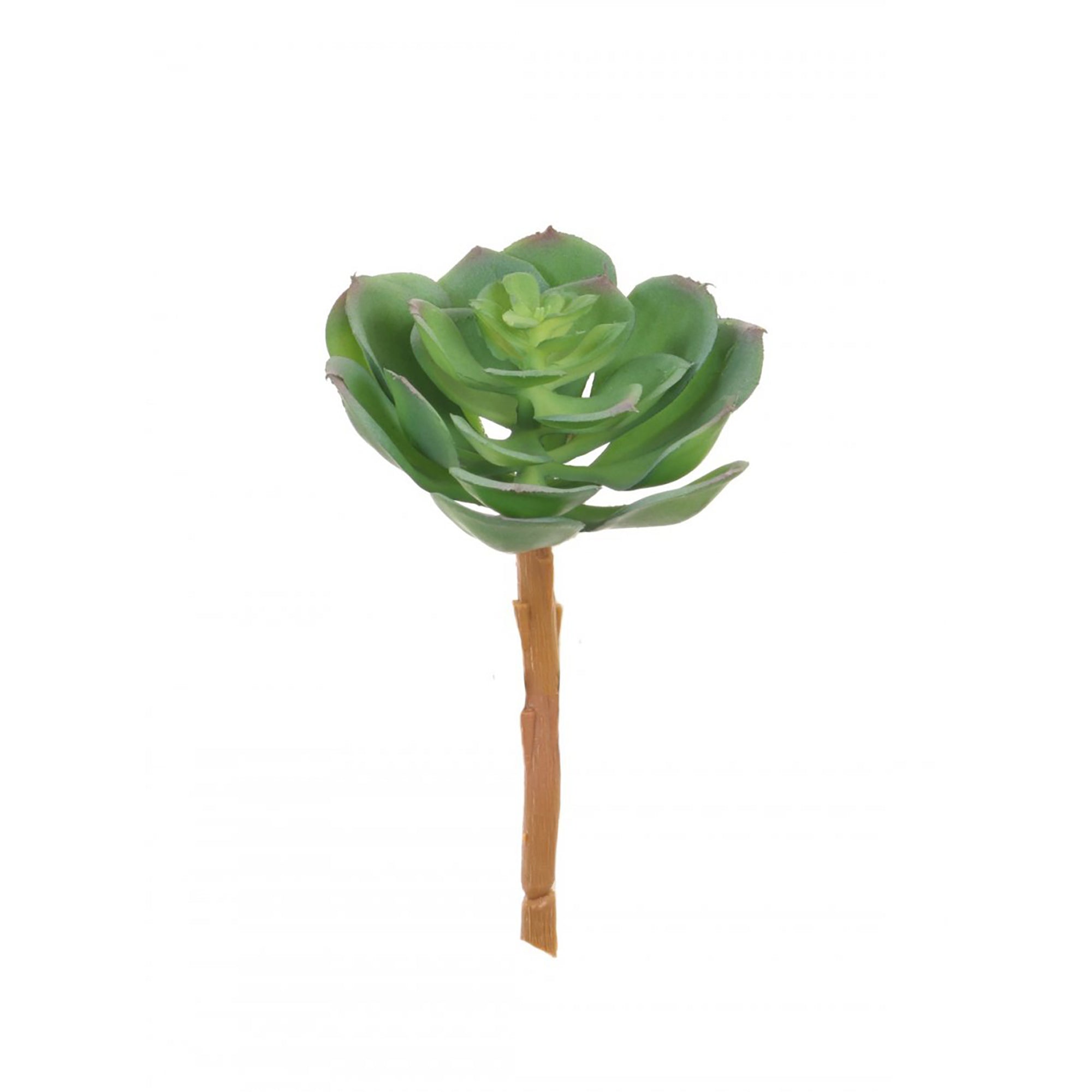 Faux Lola Succulent Head - Natural Green, 9cm