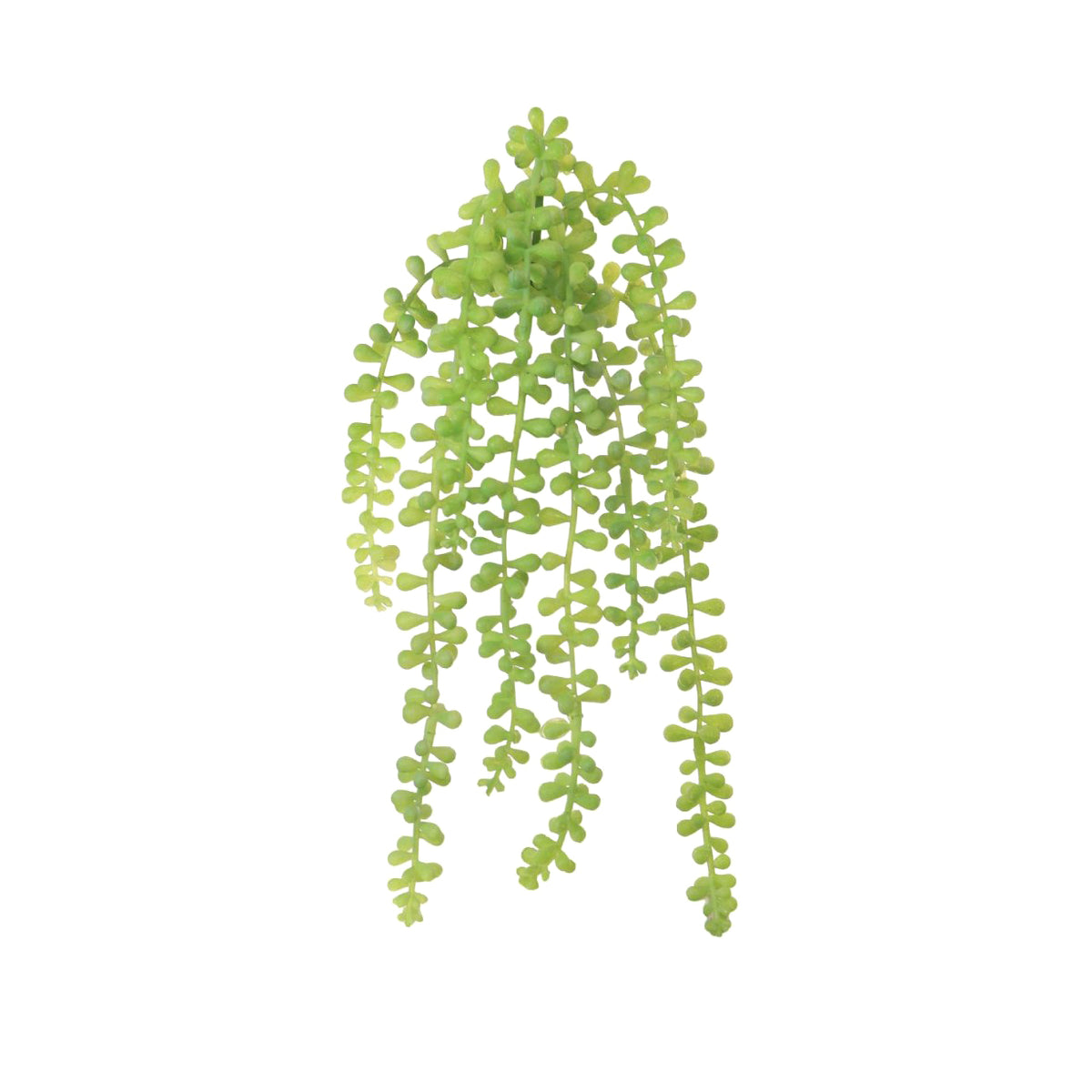 Faux Trailing String of Pearls Succulent - 30cm