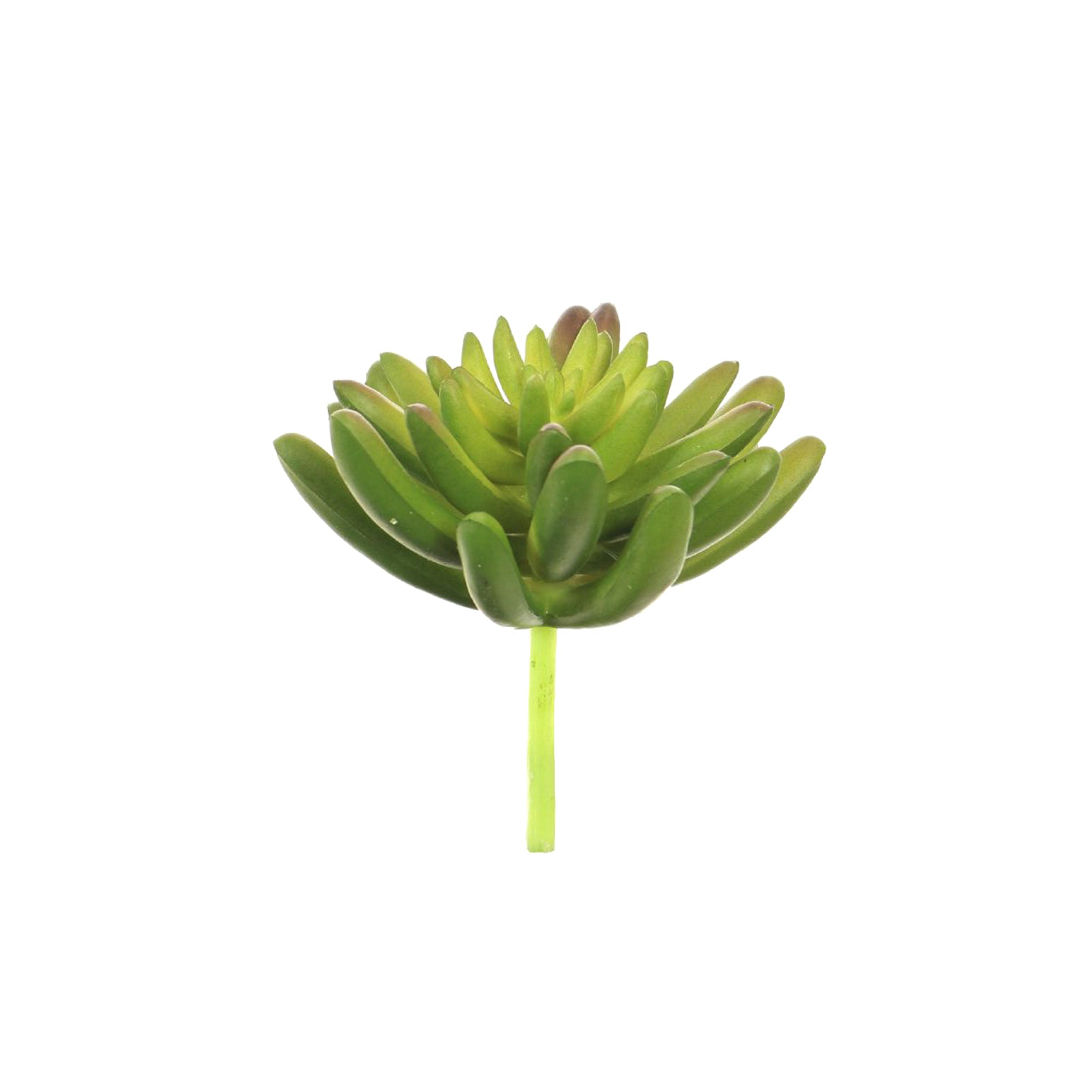 Faux Medium Agave Succulent Head - 7cm