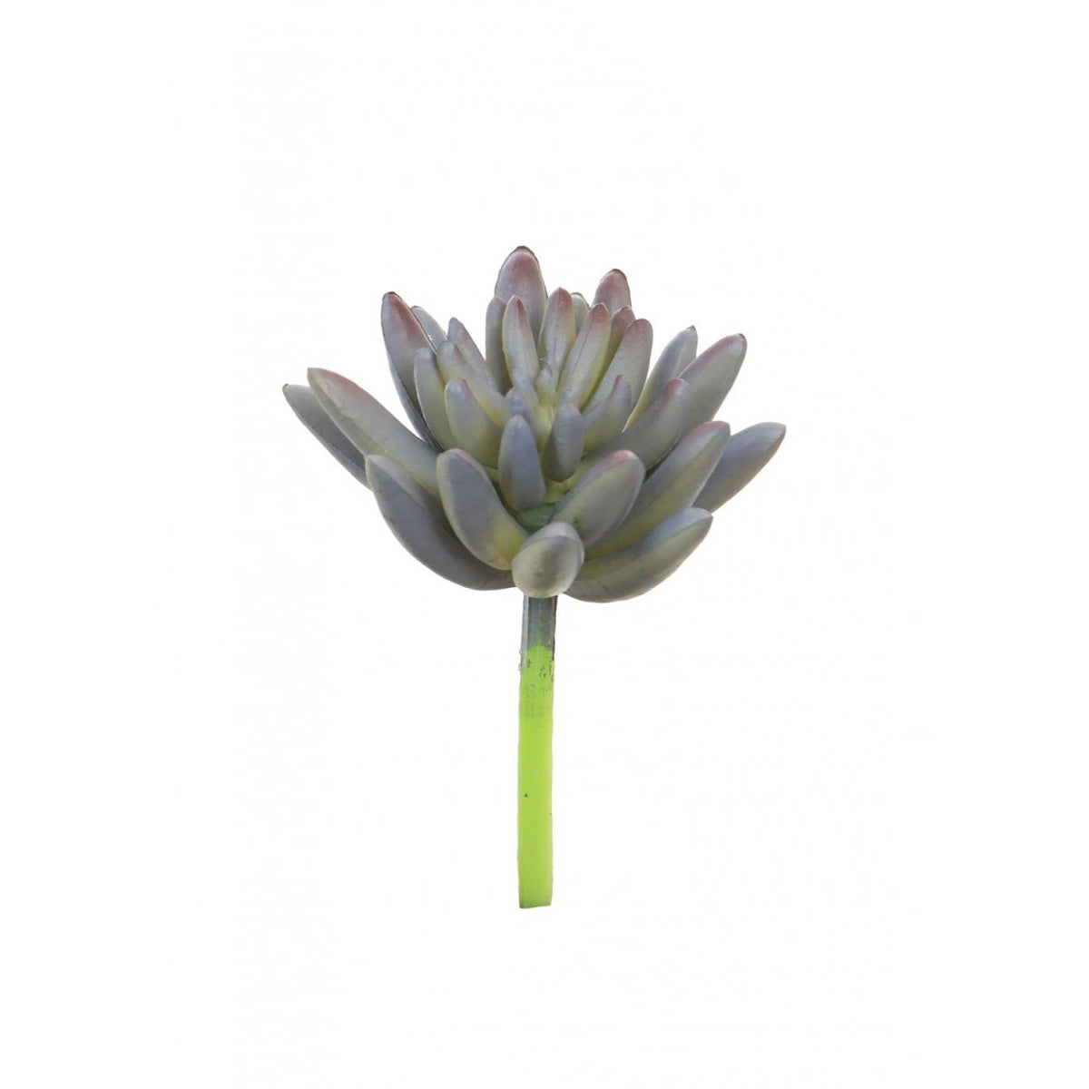 Faux Small Agave Succulent Head in Purple - 7cm