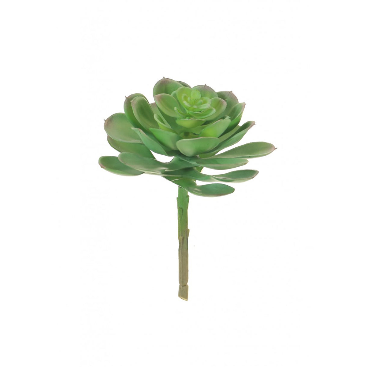 Faux Afterglow Succulent Head - Pale Green, 9cm