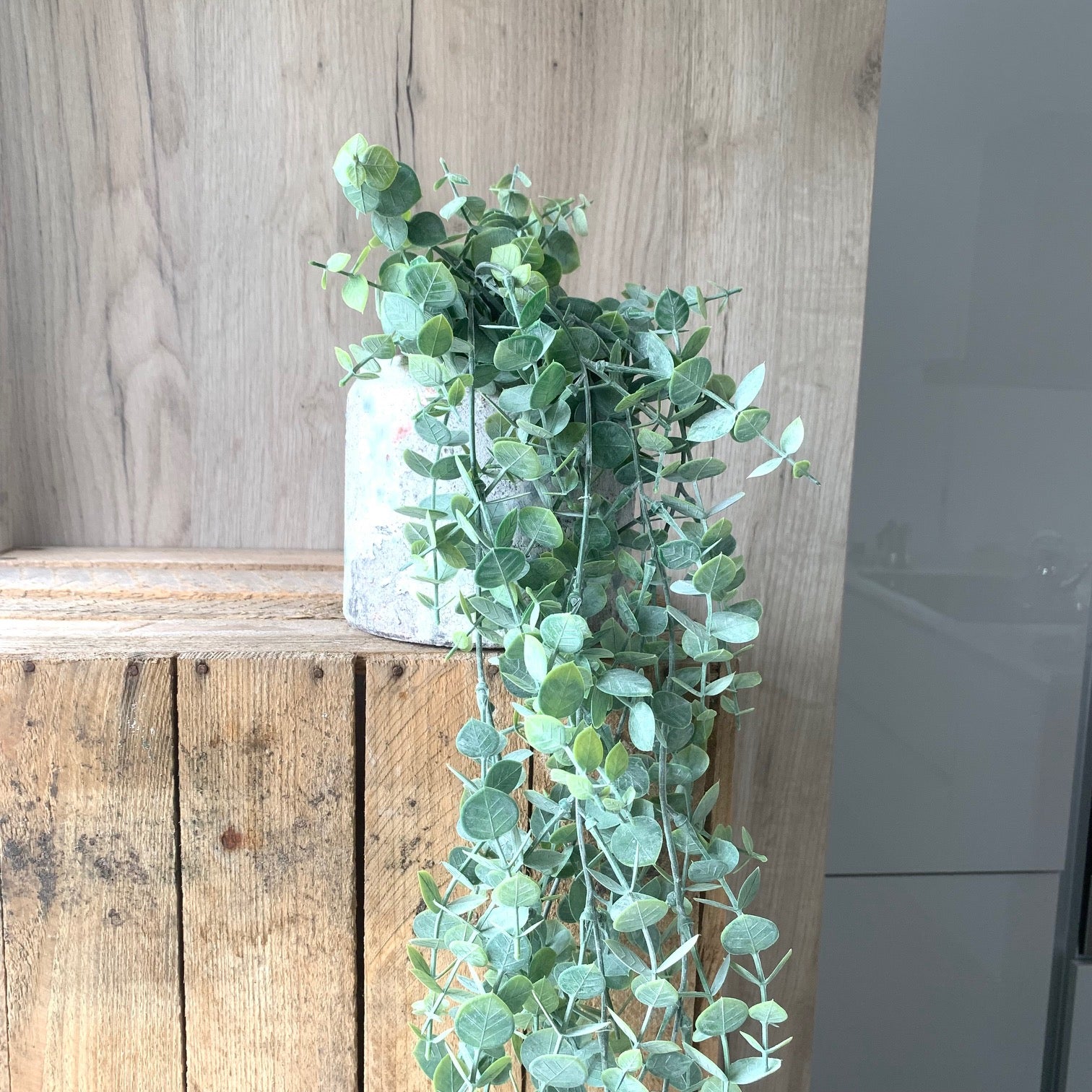 Artificial Trailing Gunni Eucalyptus - Pale Green, 95cm