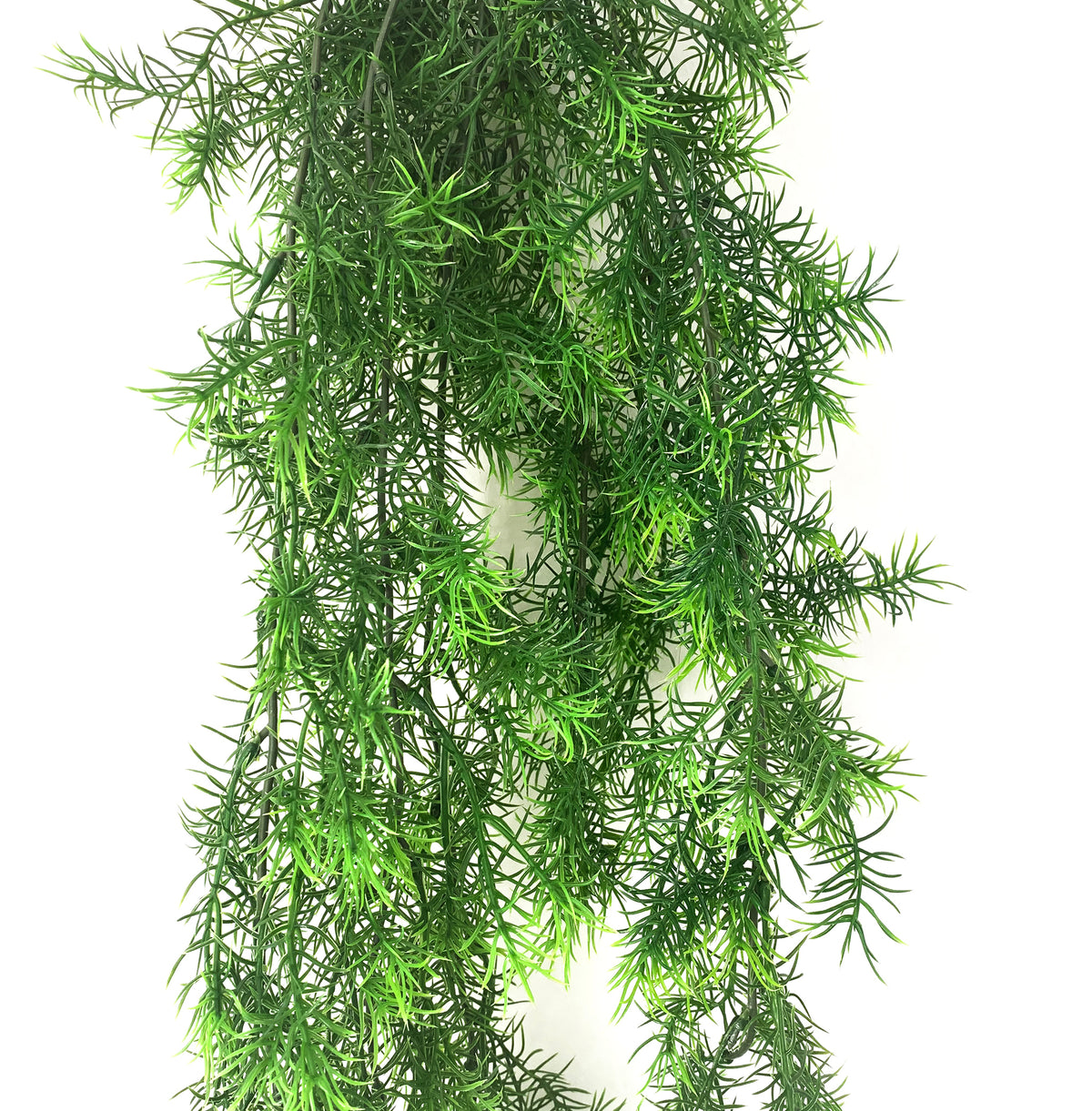 Our Real Artificial Asparagus Sprengeri hanging bush is perfect for adding some vibrant green foliage to the home.