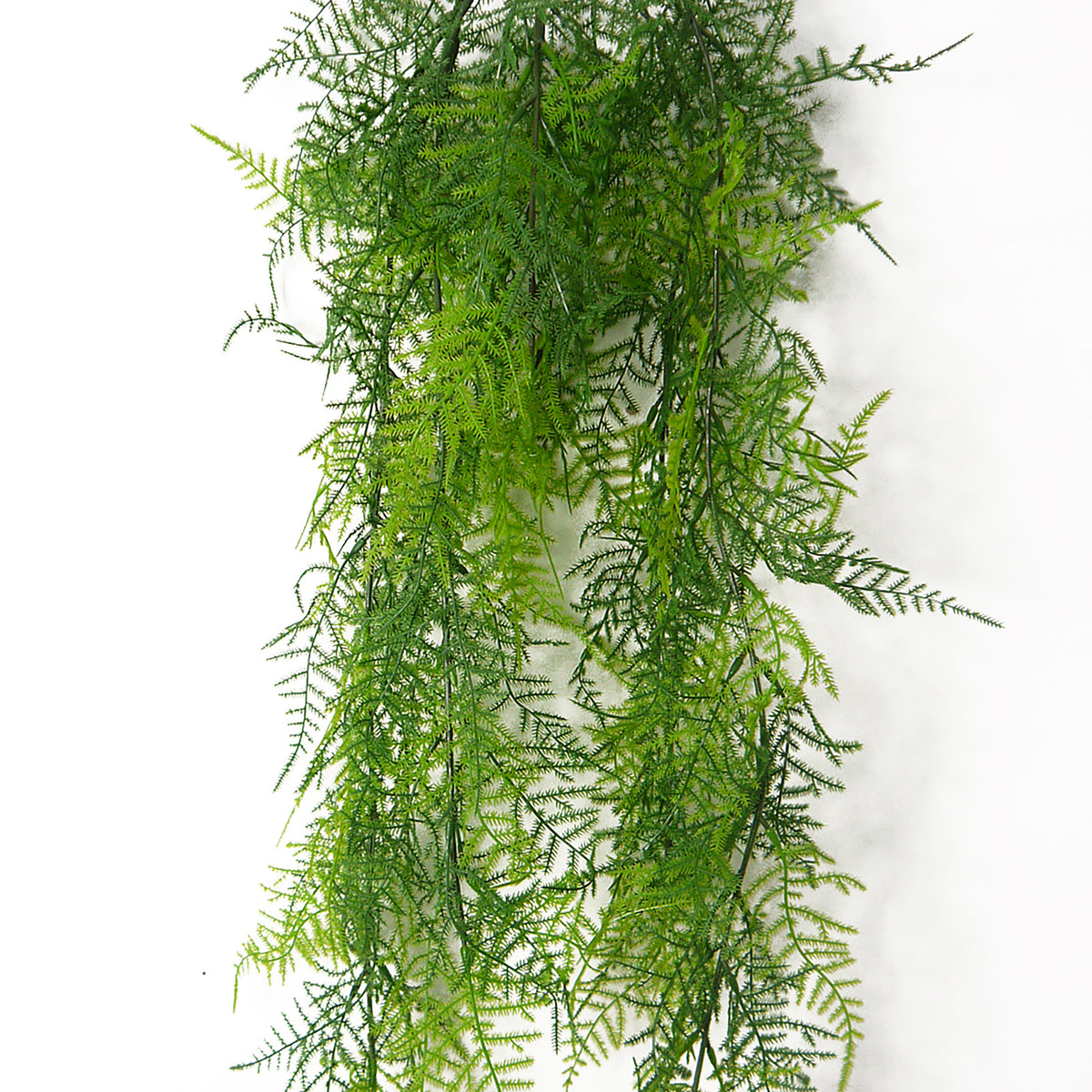 Artificial Trailing Asparagus Plumosus Bush, 80cm