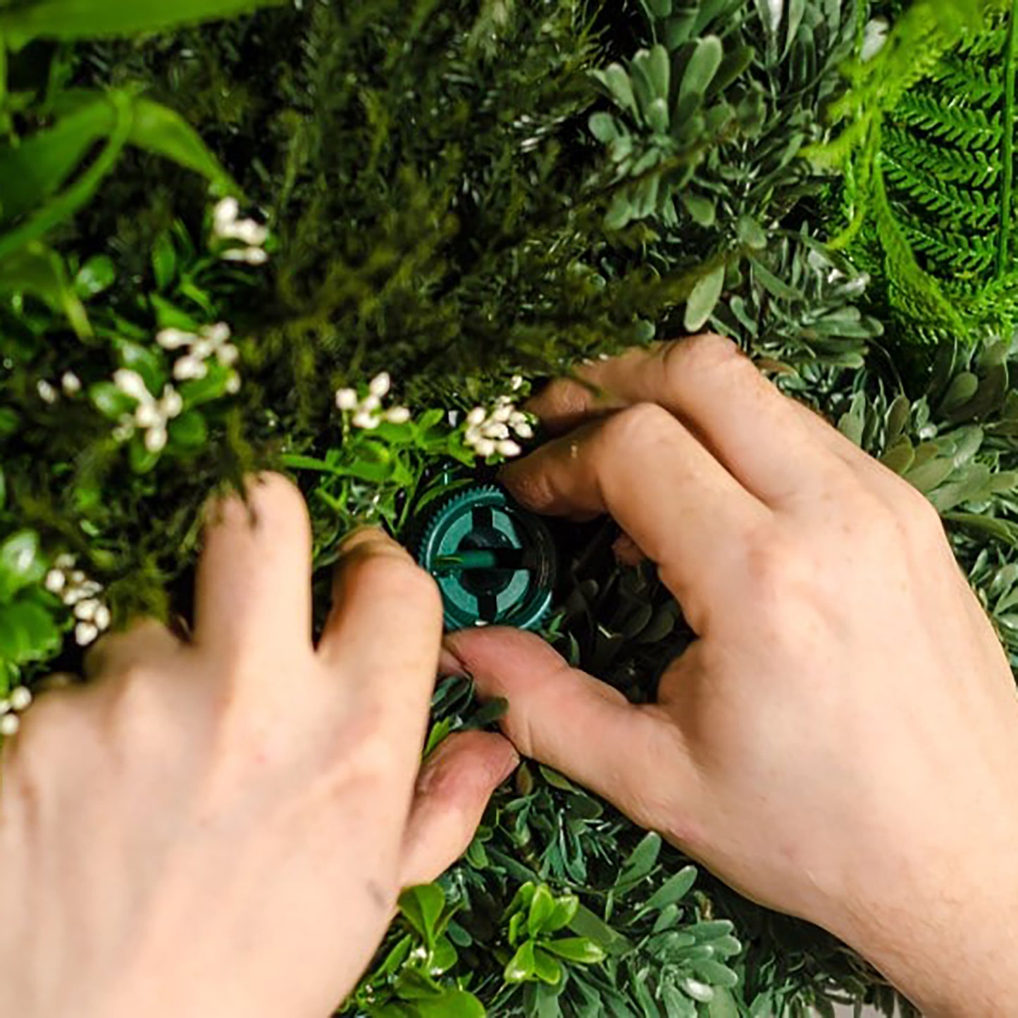 Artificial Green Wall Panel Fitting System  Enables quick and easy installation. Panels easily removed & remounted to allow for cleaning and maintenance. Ensures Optimum Position Invisible once installed Carefully designed to be robust and simple to use.