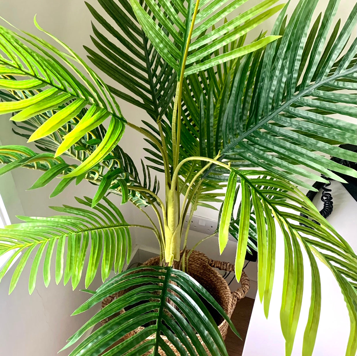 Artificial Palm Tree