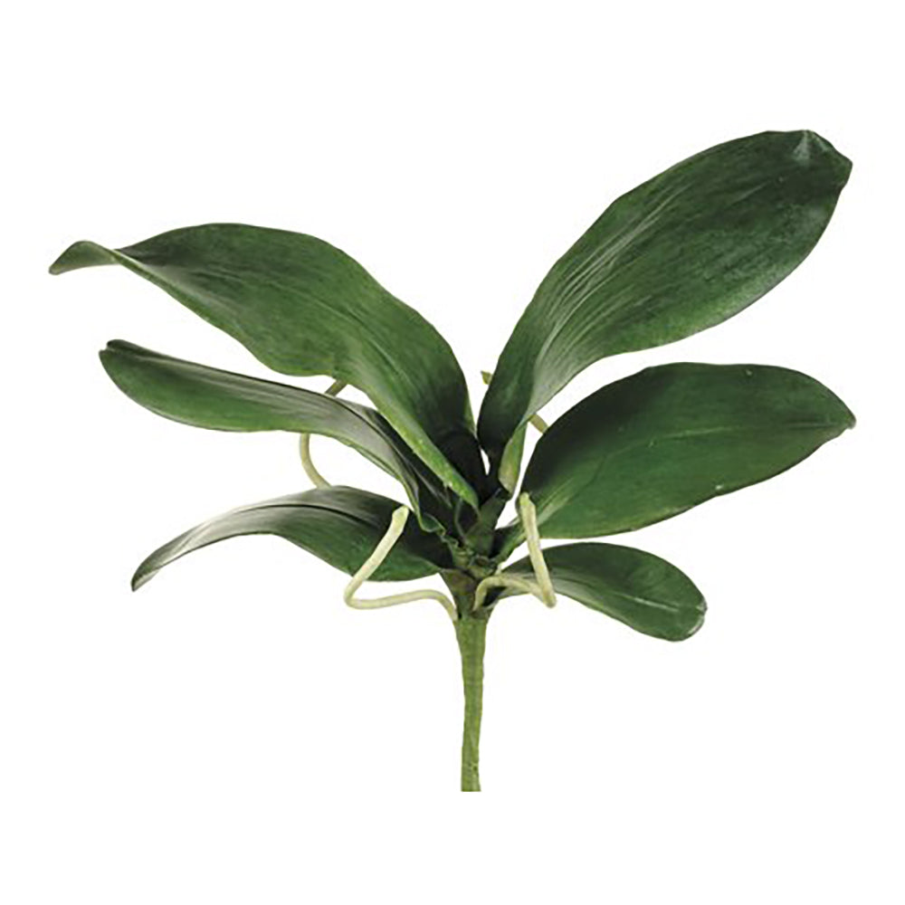 Artificial Large Phalaenopsis Orchid Leaf, 25cm