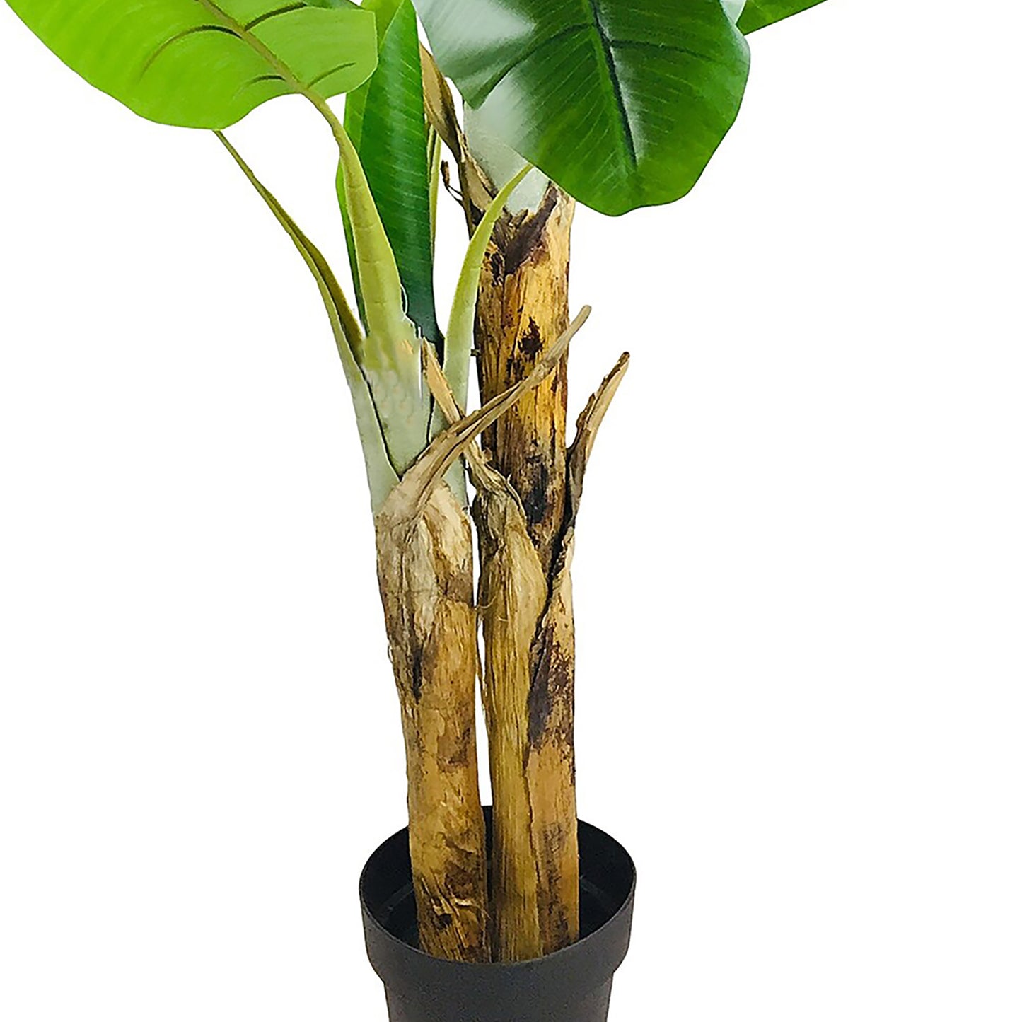 Artificial Banana Tree, Twin-Trunk