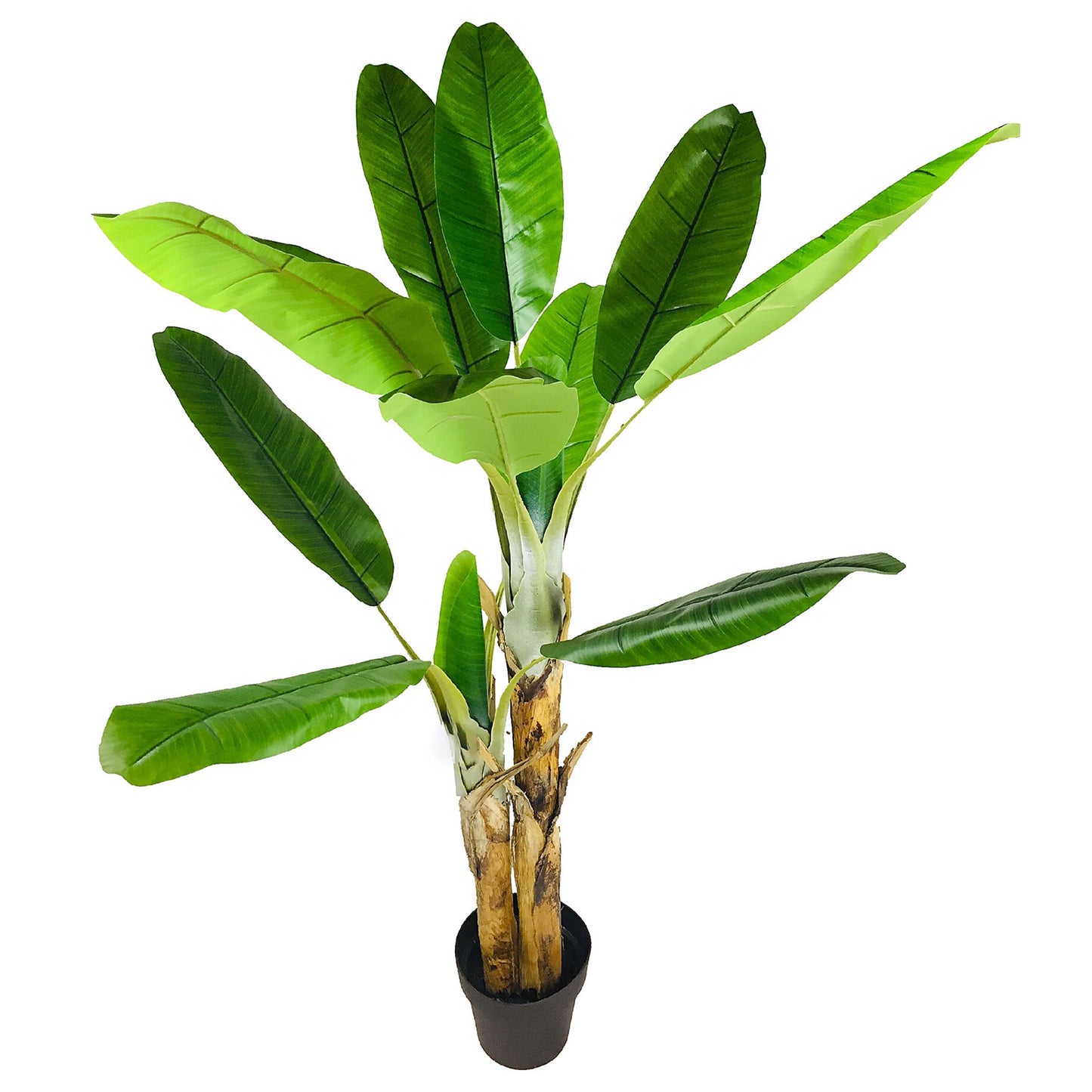 Artificial Banana Tree, Twin-Trunk