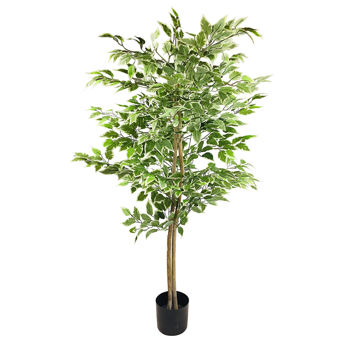 Artificial Ficus Tree - Variegated Leaves, 150cm (4.9ft)